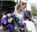 Фотография в Красота и здоровье Бижутерия Свадебная бижутерия из Чехии!Кристаллы из в Краснодаре 0