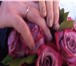 Фото в Развлечения и досуг Организация праздников Профессиональная видеосъемка свадеб и других в Москве 1 000