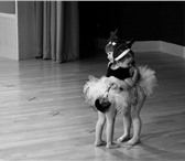 Изображение в Образование Курсы, тренинги, семинары Продолжается набор на занятия по хореографии в Москве 200