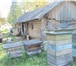 Фото в Прочее,  разное Разное Вид бизнеса: Сельское хозяйствоПодам Пасеку в Перми 700 000