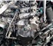 Фотография в Авторынок Автозапчасти Продам контрактный дизельный двигатель D4EAKia в Омске 65 000