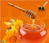 Изображение в Прочее,  разное Разное Продаём свежий мёд, август 2014 г. Разнотравье.

Настоящий в Барнауле 1 000