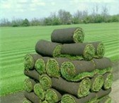 Изображение в Прочее,  разное Разное Укладка рулонного газона,сеянного газона в Уфе 0