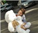 Фотография в Для детей Детские игрушки Большой плюшевый мишка станет самым желанным в Санкт-Петербурге 3 190