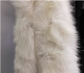 Foto в Одежда и обувь Аксессуары Песец белый полярный, цвет натуральныйПримерный в Омске 5 500