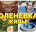 Фотография в Хобби и увлечения Разное Отдых в Оленевке на Крымских Мальдивах !Наш в Евпатория 3 500