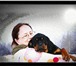 Питомник Красноярска Черный орден предлагает щенка ротвейлера, Сука д, р, 23, 11, 2009 уже подрощенн 65211  фото в Красноярске