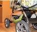 Фото в Для детей Детские коляски Продам коляску-трансформер зима-лето "Bebetto в Новосибирске 6 000