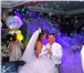 Foto в Развлечения и досуг Организация праздников Современная поющая ведущая и свадебный распорядитель, в Балашихе 1 000