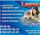 Репетиторский центр Logos+Подготовка к Е