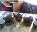 Foto в Хобби и увлечения Антиквариат чайный сервиз Катерина на 13 предметов 1983-85 в Костроме 4 000