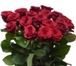 Изображение в Домашние животные Растения «Служба доставки цветов» - доставим свежесрезанные в Екатеринбурге 25