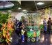 Фото в Развлечения и досуг Выставки, галереи Казанский парк Тропических бабочек приглашает в Казани 250