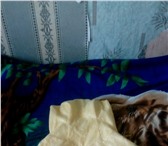 Фотография в Одежда и обувь Детская одежда Прадам бальное платье для ребёнка не дорого в Торжке 1 500