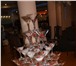 Фото в Развлечения и досуг Организация праздников Пирамида шампанского Одним из пунктов свадебного в Волгограде 2 000