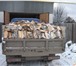 Изображение в Прочее,  разное Разное берёза дуб ясень дрова сухие без гнили и в Туле 1 000
