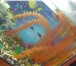 Фото в Домашние животные Рыбки Продам аквариум с рыбками и без рыбок ,дизайн в Пензе 1 800