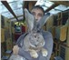 Фотография в Домашние животные Другие животные Продаются кролики уникальной породы немецких в Таганроге 1 000