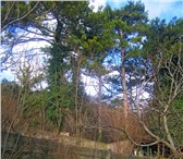 Фотография в Недвижимость Земельные участки Продам участок 6 сот., земли поселений (ИЖС), в Москве 5 500 000