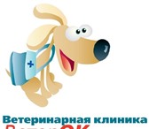Изображение в Домашние животные Услуги для животных В ветеринарной клинике ВетерОК большинство в Москве 0