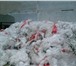 Фотография в Прочее,  разное Разное Куплю отходы пленки на дальнейшую переработку. в Москве 111