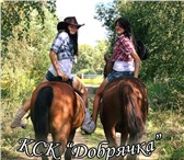 Фотография в Развлечения и досуг Спортивные мероприятия Все кто хочет научиться ездить на лошади в Москве 3 000