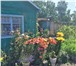 Фотография в Недвижимость Сады Продам дачу в садоводстве Галичный 5,2 км. в Комсомольск-на-Амуре 280 000