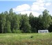 Изображение в Недвижимость Земельные участки Девственный лес и живописное озеро органично в Чехов 4 980 000