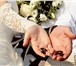 Foto в Развлечения и досуг Организация праздников Профессиональная видеосъемка  свадеб, венчаний, в Подольске 1 000