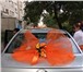 Фотография в Развлечения и досуг Организация праздников Украшение на капот, украшение на двери 4 в Краснодаре 1 000