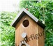 Фото в Домашние животные Птички Скворечники, кормушки для птиц в Набережных Челнах 1 500