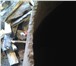 Фотография в Строительство и ремонт Разное печь для бани, не Б/У, толщина железа 7мм, в Томске 15 000