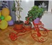 Фото в Мебель и интерьер Мебель для дачи и сада изготовление подставок под цветы.

покраска в Омске 0