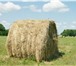 Изображение в Прочее,  разное Разное продаем сено в тюках весом по 300 кг. ТОРГ в Москве 1 500