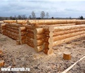 Фотография в Строительство и ремонт Строительство домов Срубы из зимнего леса. Компания Лес Удмуртии в Нижнем Новгороде 2 700