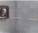 Фото в Строительство и ремонт Строительство домов Профессиональная укладка кафеля,керамогранита,мозайки. в Хабаровске 700
