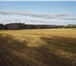 Фотография в Недвижимость Земельные участки Продам 80 дачных участков под застройку посёлка. в Красноярске 1 400 000