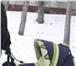 Изображение в Для детей Детские коляски Продам коляску &ndash; трансформер на любое в Омске 4 000