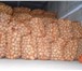 Изображение в Прочее,  разное Разное Продаём картофель Оптом, сорт Удача, калибр в Тольятти 11