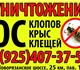 Уничтожение клопов газом,клещей туманом 