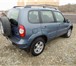 Chevrolet Niva 1,  7 МТ 2010 г, 2339011 Chevrolet Niva фото в Саратове