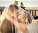 Foto в Развлечения и досуг Организация праздников Что останется после свадьбы? когда торт будет в Минске 33 000