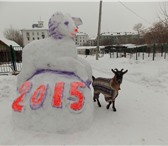 Foto в Прочее,  разное Разное Наступил 2015 год Козы. В Северском зоопарке в Москве 0