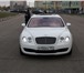 Фото в Авторынок Аренда и прокат авто Прокат, заказ, аренда Автомобиля Bentley в Москве 5 000