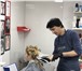 Фото в Образование Курсы, тренинги, семинары Курсы подготовки парикмахеров! Чтобы сделать в Нижнем Новгороде 5 500