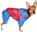 Foto в Домашние животные Товары для животных Распродажа одежды для собак от URBAN DOGS. в Москве 400