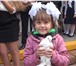 Фотография в Развлечения и досуг Организация праздников Профессиональная видеосъемка школьных мероприятий.видеомонтаж в Москве 1 000