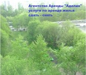 Foto в Недвижимость Разное Специалисты Агентства Аренды «Аделия» в сжатые в Москве 100