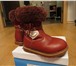 Изображение в Для детей Детская обувь Продаю сапожки зимние "Кенгуру" натуральная в Кирове 500