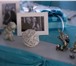 Фото в Развлечения и досуг Организация праздников Украшение тканью оформление свадеб украшение в Москве 0